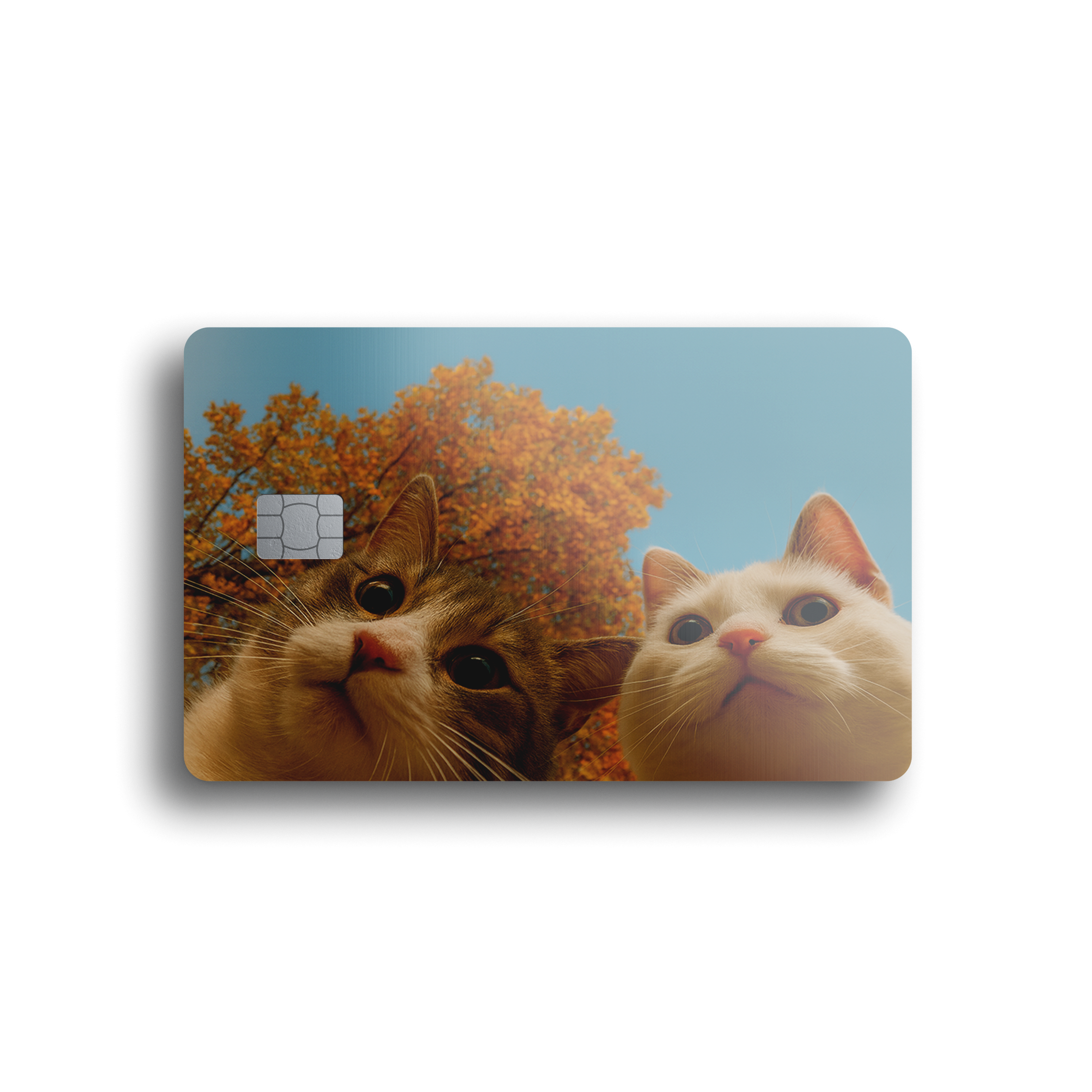 Autumn Cats Card Skin